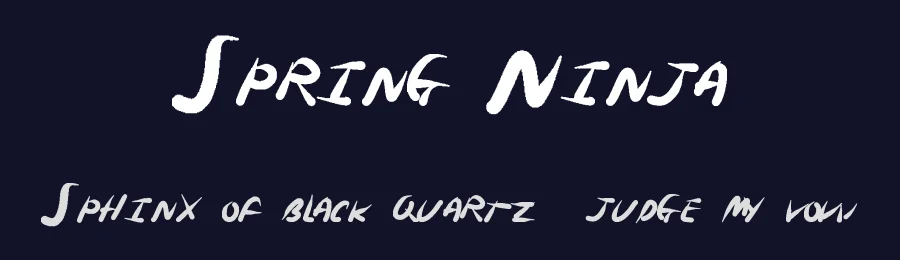 Spring Ninja by Xerographer Fonts — Script Handwritten Font — thumbnail 2