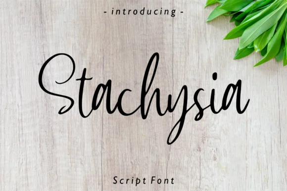 Stachysia Font by Fype Co. — Script Handwritten Font