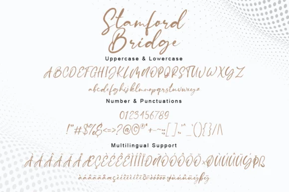 Stamford Bridge Font by Bluestudio — Script Handwritten Font — thumbnail 6
