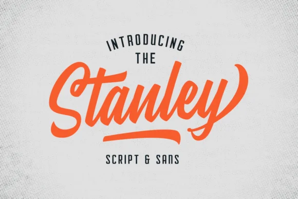Stanley Font by Martype.Co — Script Handwritten Font