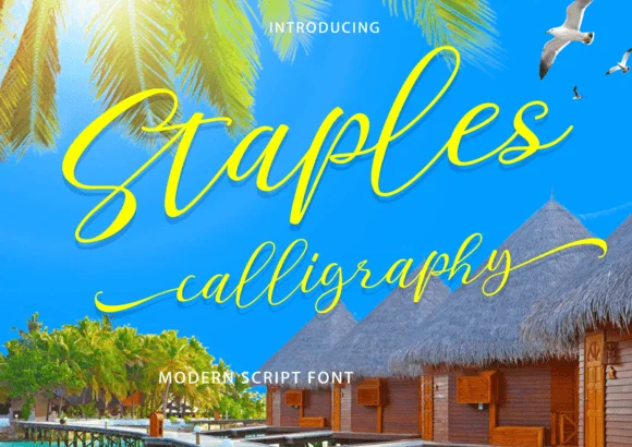 Staples Calligraphy Font by 177Studio — Serif Font