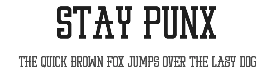 Stay Punx