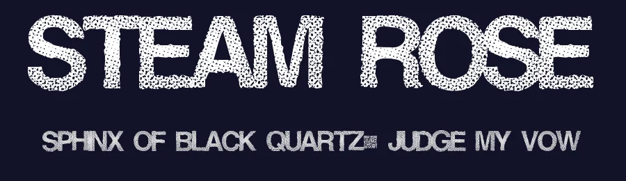 Steam Rose by Xerographer Fonts — Decorative Font — thumbnail 2