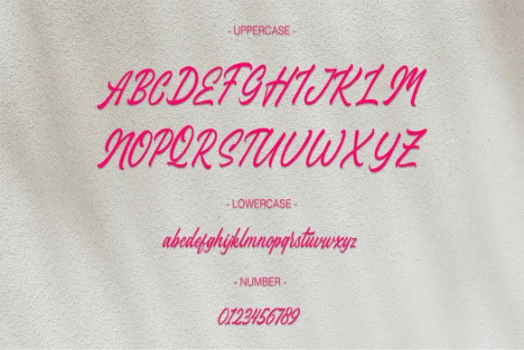 Stefina Signature Font by alphaleonis.studio — Script Handwritten Font — thumbnail 2