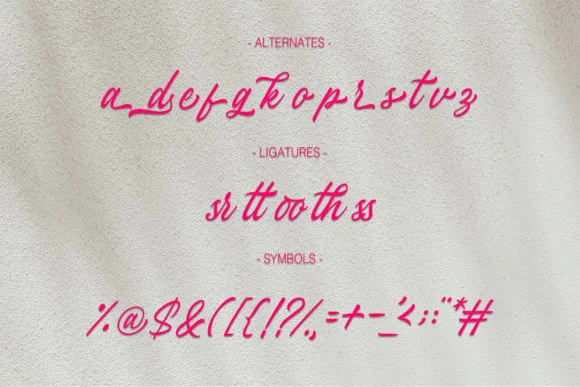 Stefina Signature Font by alphaleonis.studio — Script Handwritten Font — thumbnail 3