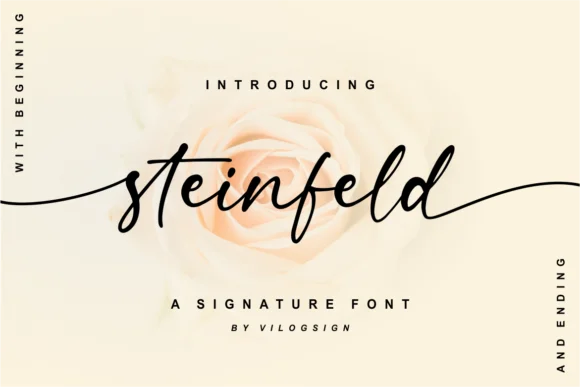 Steinfeld Font by Vilogsign — Script Handwritten Font