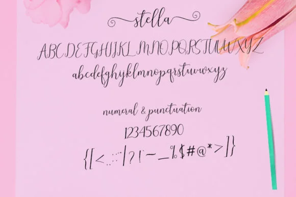 Stella Font by Rudistudio — Script Handwritten Font — thumbnail 4