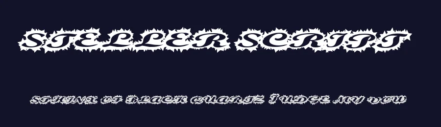 Steller Script by Xerographer Fonts — Script Handwritten Font — thumbnail 2
