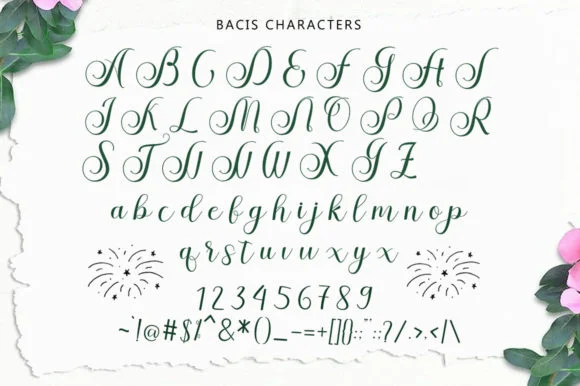 Stephen Font by Stellar Studio by Stellar Studio — Script Handwritten Font — thumbnail 3