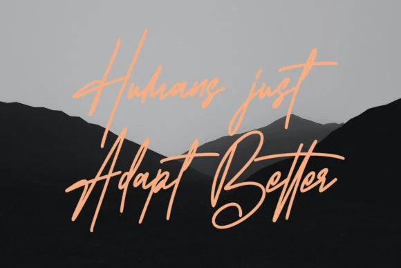 Stereomantic Font by Maulana Creative — Script Handwritten Font — thumbnail 3