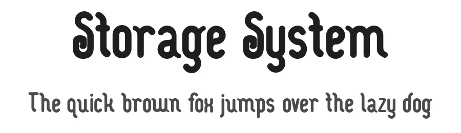 Storage System