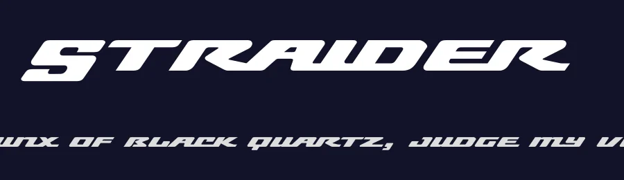 Straider by hikhstudio — Display Font — thumbnail 2