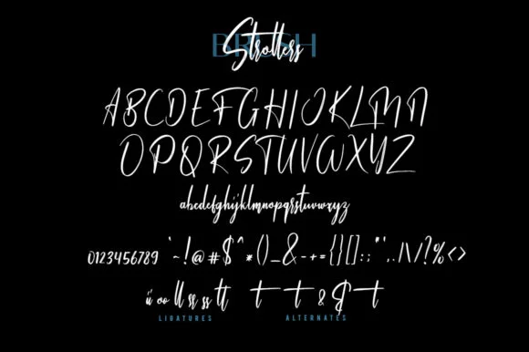 Strollers Font by Maulana Creative — Script Handwritten Font — thumbnail 7