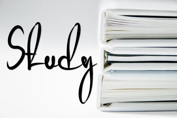 Study Font by Designvector10 — Script Handwritten Font