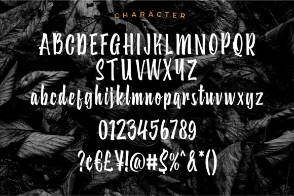 Subaraya Font by 24Design Studios — Script Handwritten Font — thumbnail 5