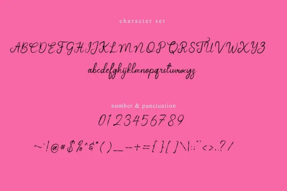 Sublimation Font by tawondasstudio by tawondasstudio — Script Handwritten Font — thumbnail 5