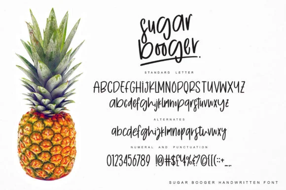 Sugar Booger Font by Fourlines.design — Script Handwritten Font — thumbnail 9