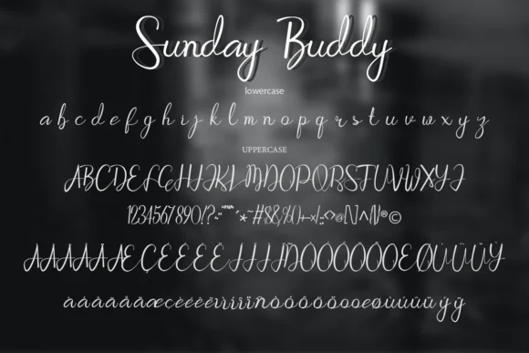 Sunday Buddy Font by Comactype Foundry — Script Handwritten Font — thumbnail 7