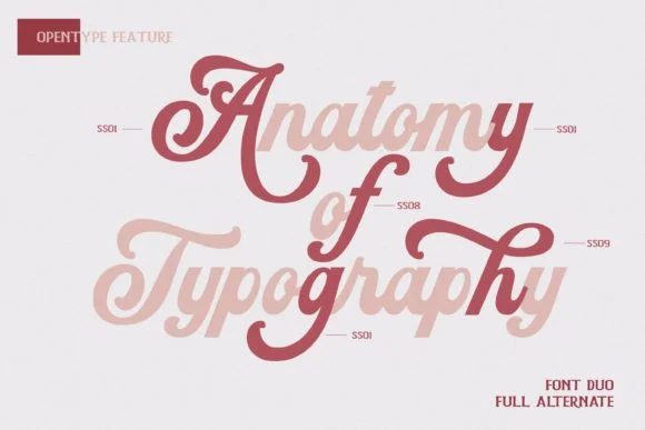 Sunday Sugar Script Font by ovoz.graphics — Script Handwritten Font — thumbnail 4