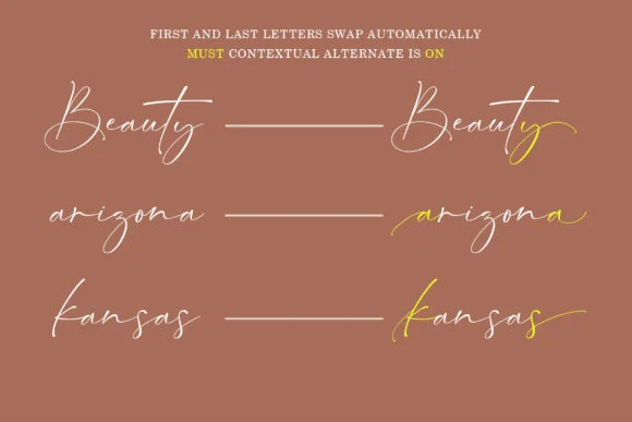 Sunderland Font by Teweka by Teweka — Script Handwritten Font — thumbnail 9