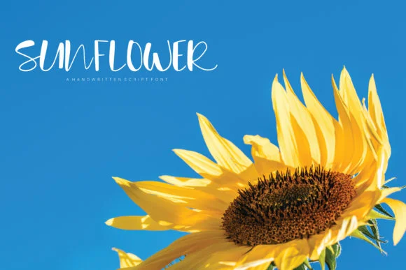 Sunflower Font by Danika D. — Script Handwritten Font