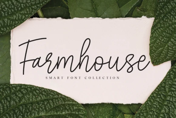 Sunflower Font by Misterletter.co by Misterletter.co — Script Handwritten Font — thumbnail 5