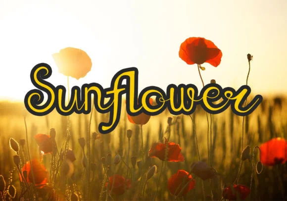 Sunflower Font by Roni Studio by Roni Studio — Script Handwritten Font