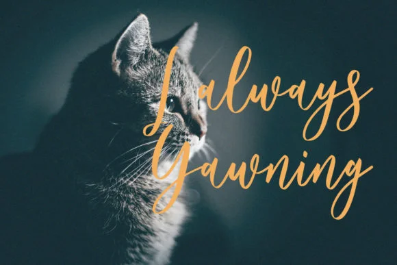 Sunfort Font by Maulana Creative — Script Handwritten Font — thumbnail 9