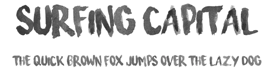 Surfing Capital