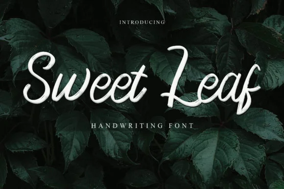 Sweet Leaf Font by najmustsaqib.creator — Script Handwritten Font