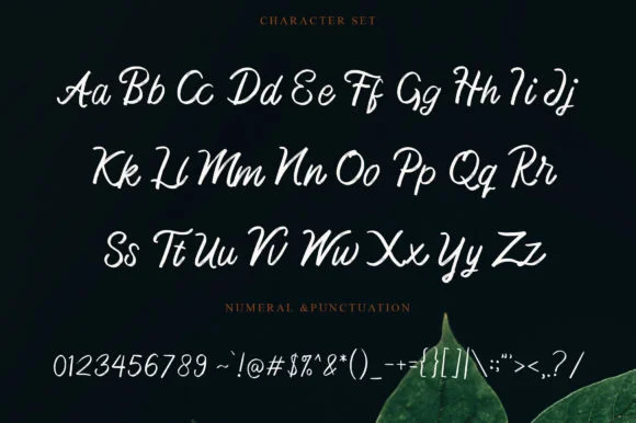 Sweet Leaf Font by najmustsaqib.creator — Script Handwritten Font — thumbnail 6