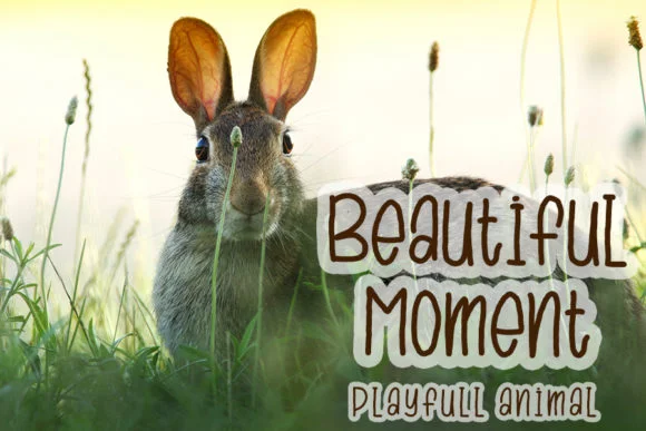 Sweet Rabbit Font by FL Space — Script Handwritten Font — thumbnail 4