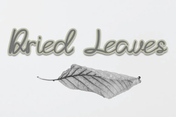 Sweet Style Font by K_IN Studio — Script Handwritten Font — thumbnail 4