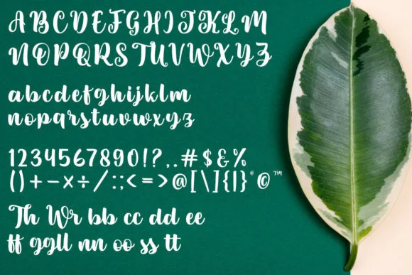 Sweety Renna Font by Madatype Studio — Script Handwritten Font — thumbnail 4