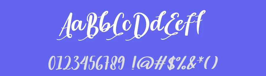 Syaki by nomlimofont — Script Handwritten Font — thumbnail 3
