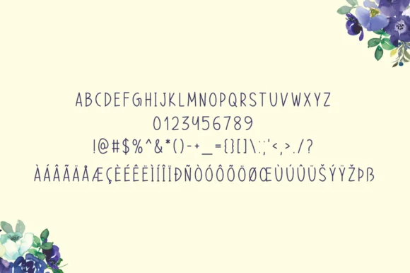 Take Chances Font by Seemly Fonts — Script Handwritten Font — thumbnail 5