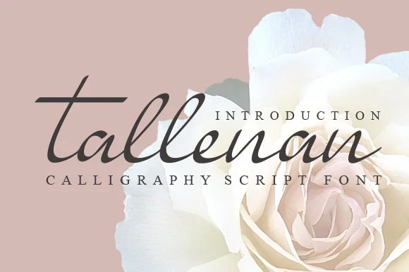Tallenan Font by andikastudio — Script Handwritten Font