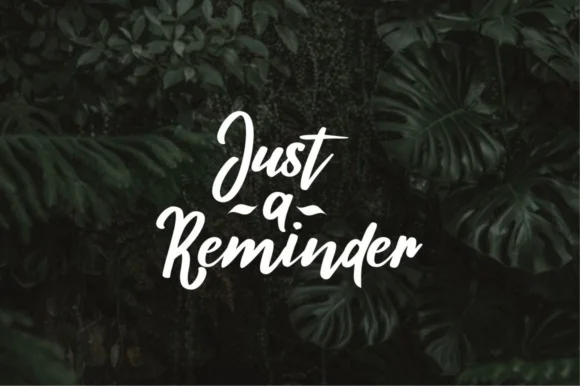 Tamiela Font by Eldertype Studio — Script Handwritten Font — thumbnail 3