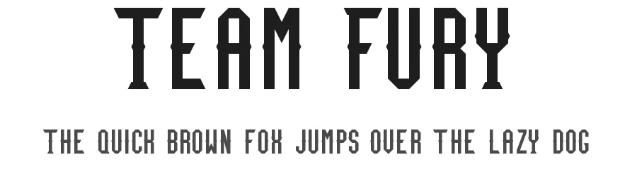 Team Fury