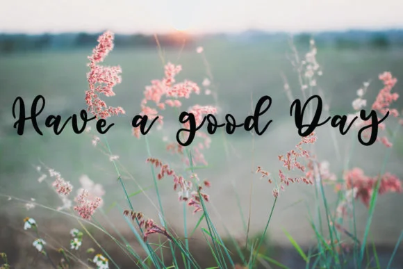 Teamo Font by Danika D. — Script Handwritten Font — thumbnail 3
