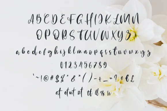 Teratai Font by 24Design Studios — Script Handwritten Font — thumbnail 6