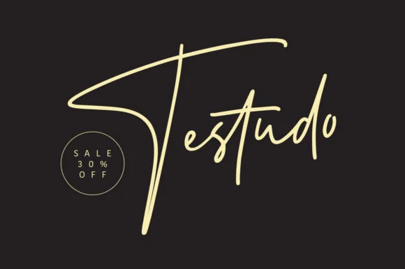 Testudo Font by Maulana Creative — Script Handwritten Font