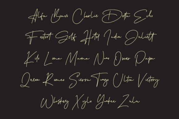 Testudo Font by Maulana Creative — Script Handwritten Font — thumbnail 3