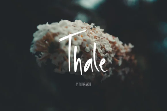 Thale Font by moonbandit — Script Handwritten Font