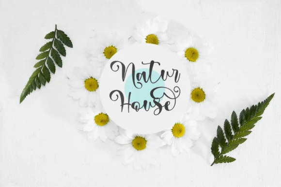 Thankmom Font by Stefani Letter — Script Handwritten Font — thumbnail 4