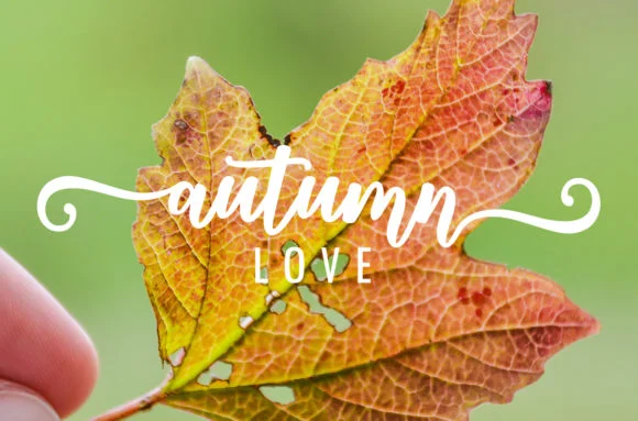 Thatcher Script Font by Amarlettering — Script Handwritten Font — thumbnail 2