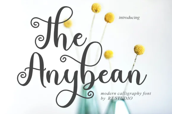 The Anybean Font by RT Studio — Sans Serif Font