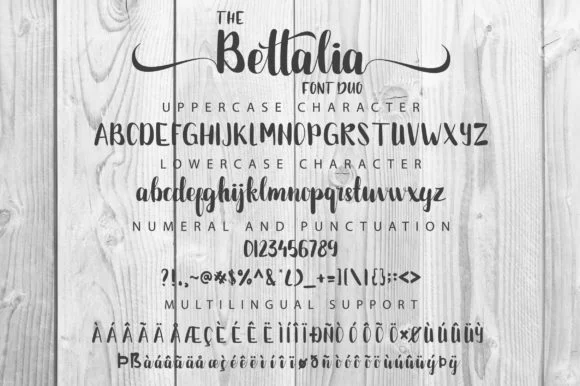 The Bettalia Duo Font by fanastudio — Script Handwritten Font — thumbnail 2