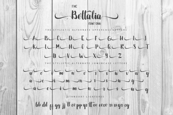 The Bettalia Duo Font by fanastudio — Script Handwritten Font — thumbnail 3
