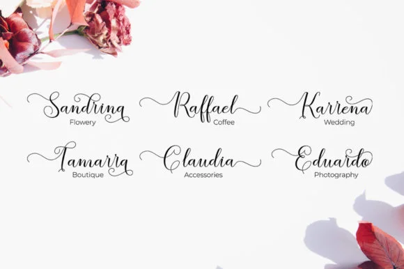 The Brilliant Shine Font by Stellar Studio — Script Handwritten Font — thumbnail 3